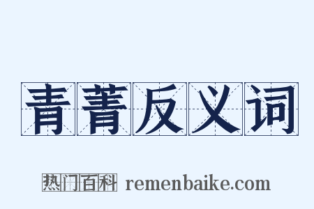 青菁反义词是什么意思的图片